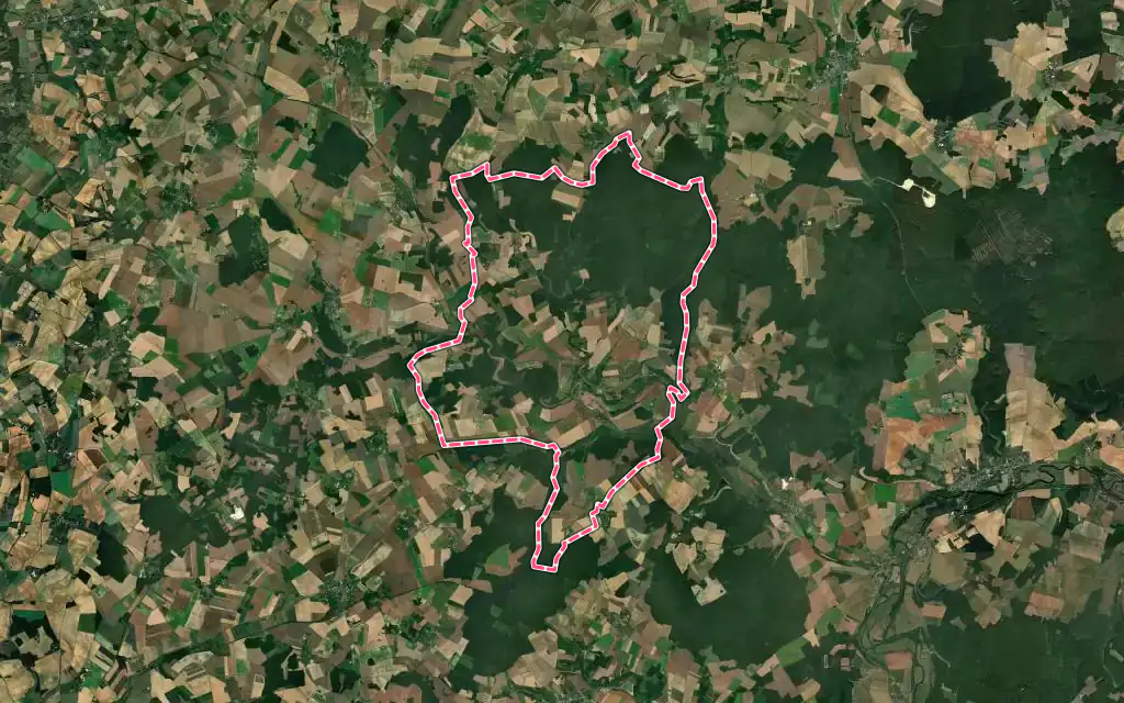 Vue satellite de Druyes-les-Belles-Fontaines avec ses contours administratifs