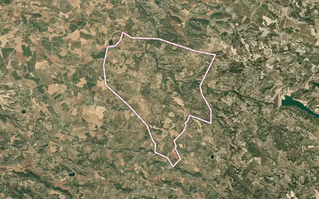 Vista satélite de el Cogul con su contorno administrativo
