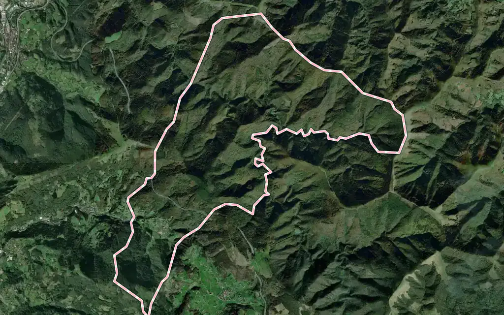 Vista satélite de Elduain con su contorno administrativo
