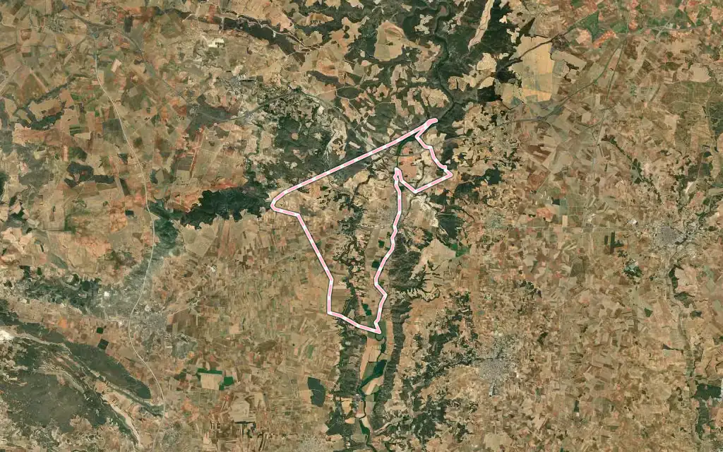 Vista satélite de El Picazo con su contorno administrativo