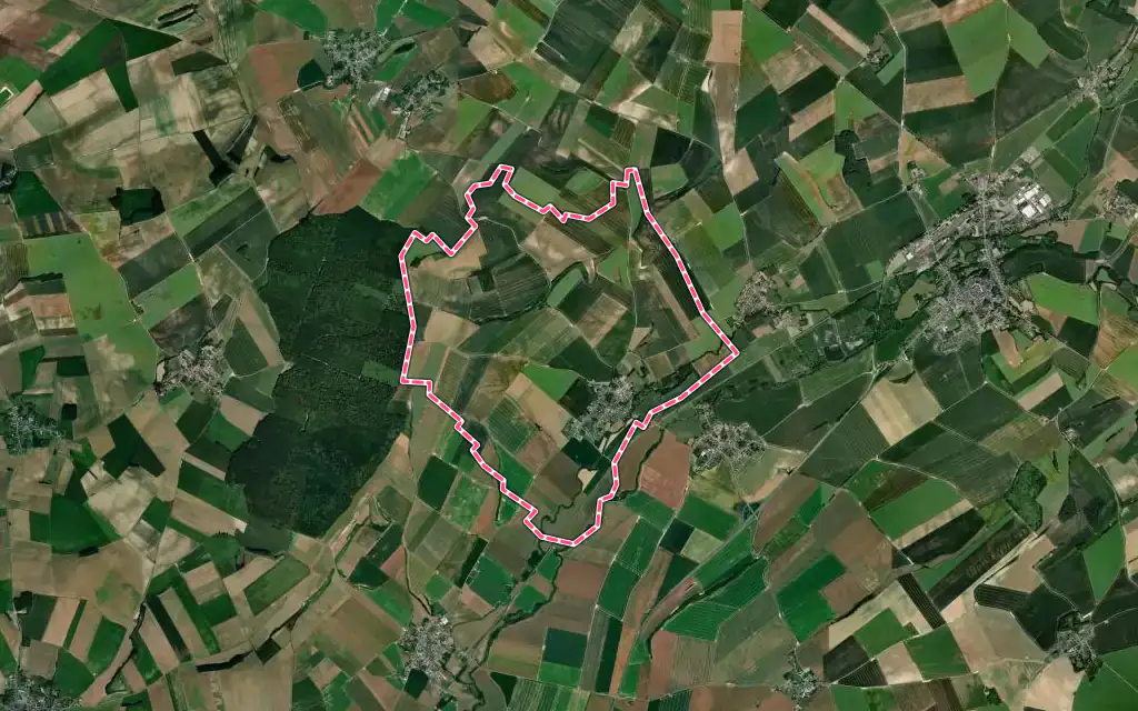 Vue satellite de Erlon avec ses contours administratifs
