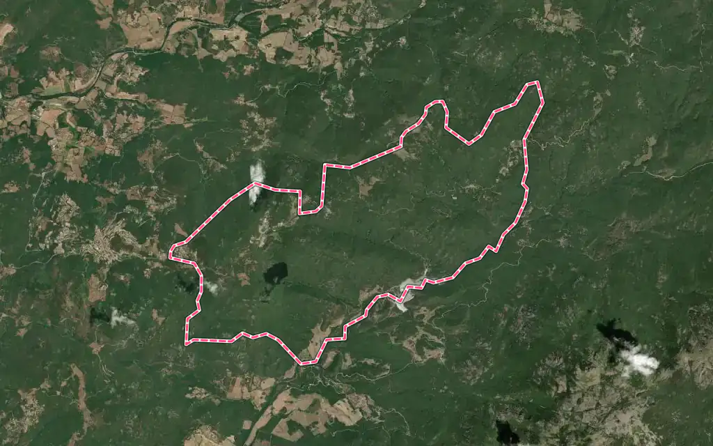 Vue satellite de Foce avec ses contours administratifs