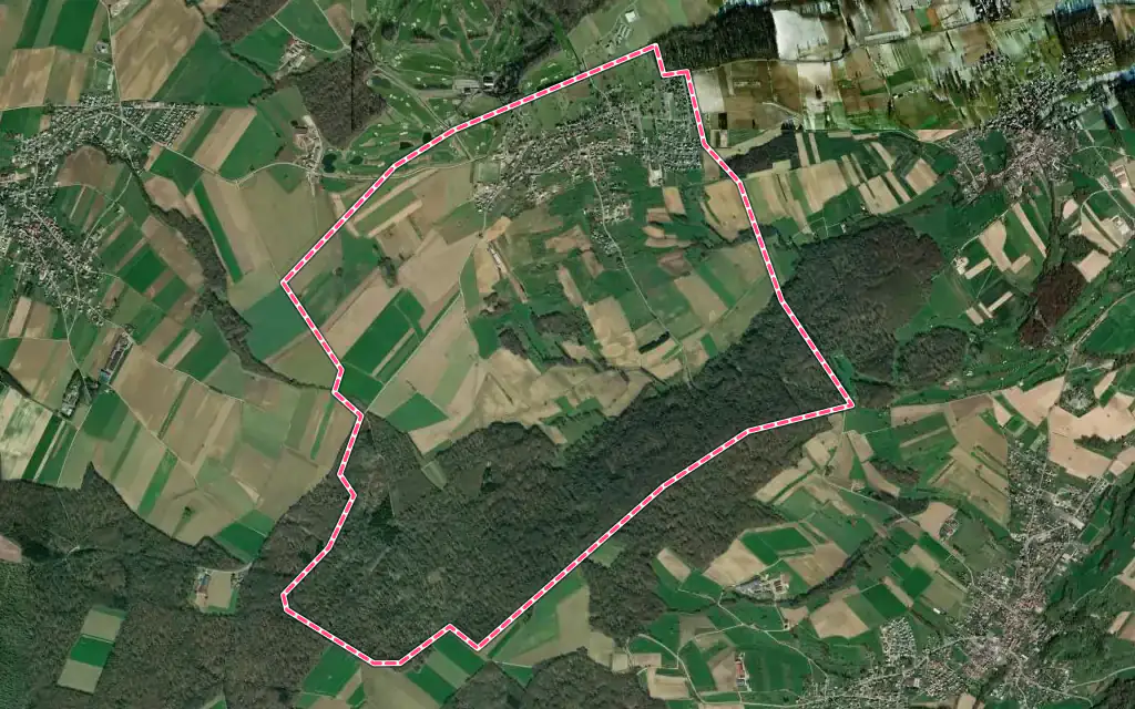 Vue satellite de Folgensbourg avec ses contours administratifs