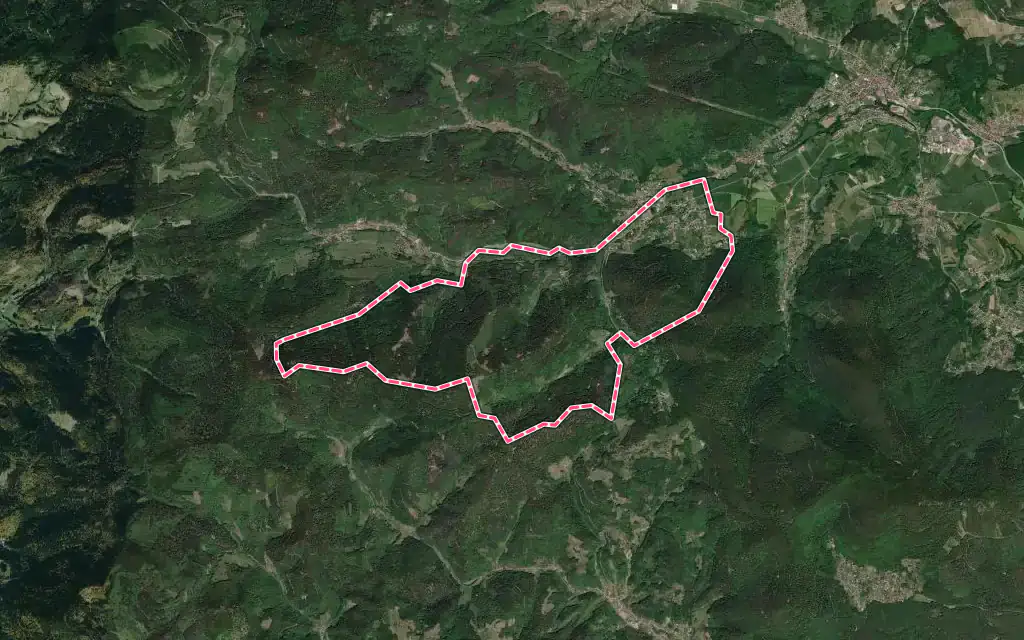 Vue satellite de Fouchy avec ses contours administratifs