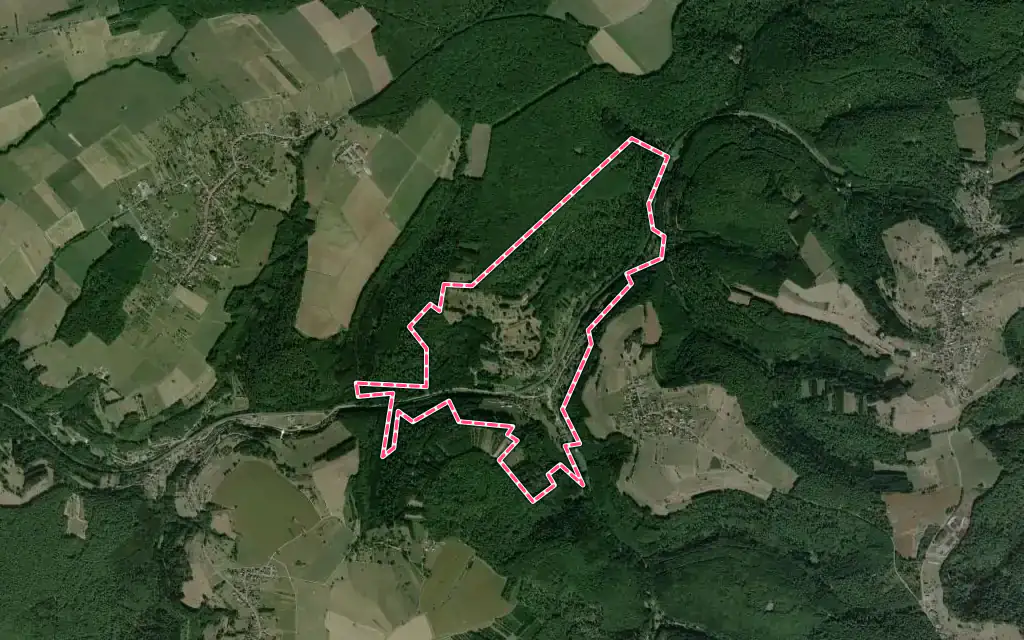 Vue satellite de Frohmuhl avec ses contours administratifs