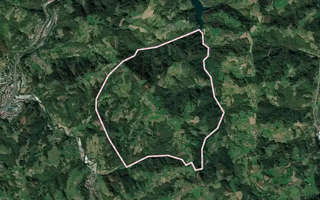 Vista satélite de Gaintza con su contorno administrativo
