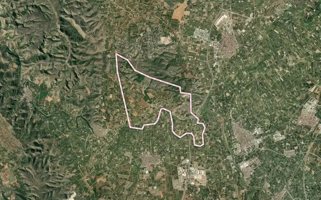 Vista satélite de Gavarda con su contorno administrativo