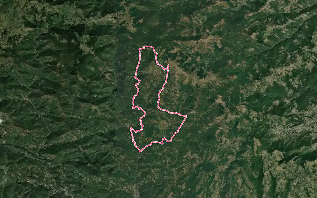 Vue satellite de Genestelle avec ses contours administratifs
