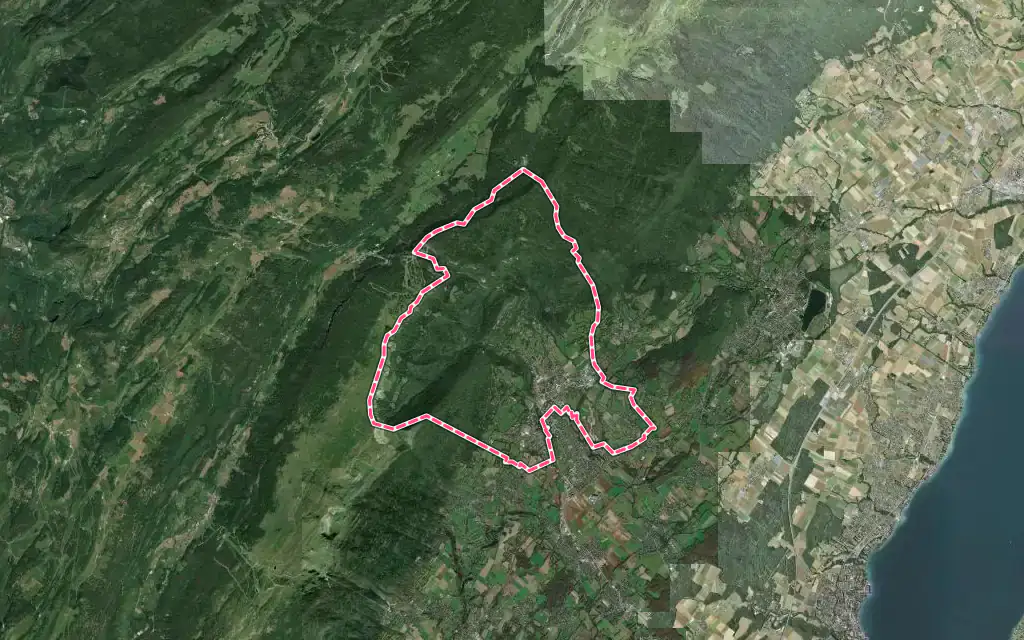 Vue satellite de Gex avec ses contours administratifs