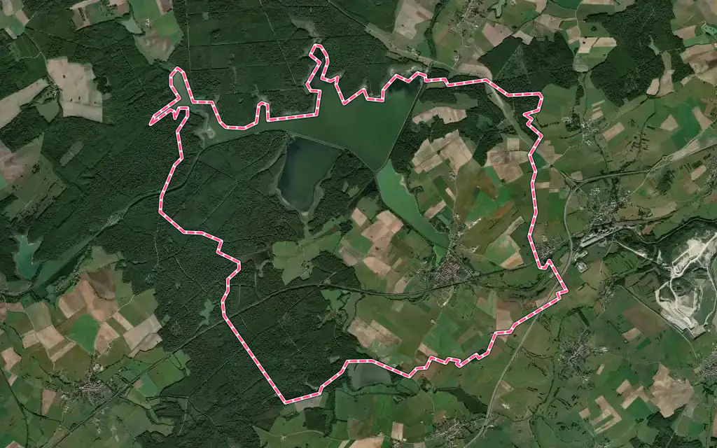 Vue satellite de Gondrexange avec ses contours administratifs