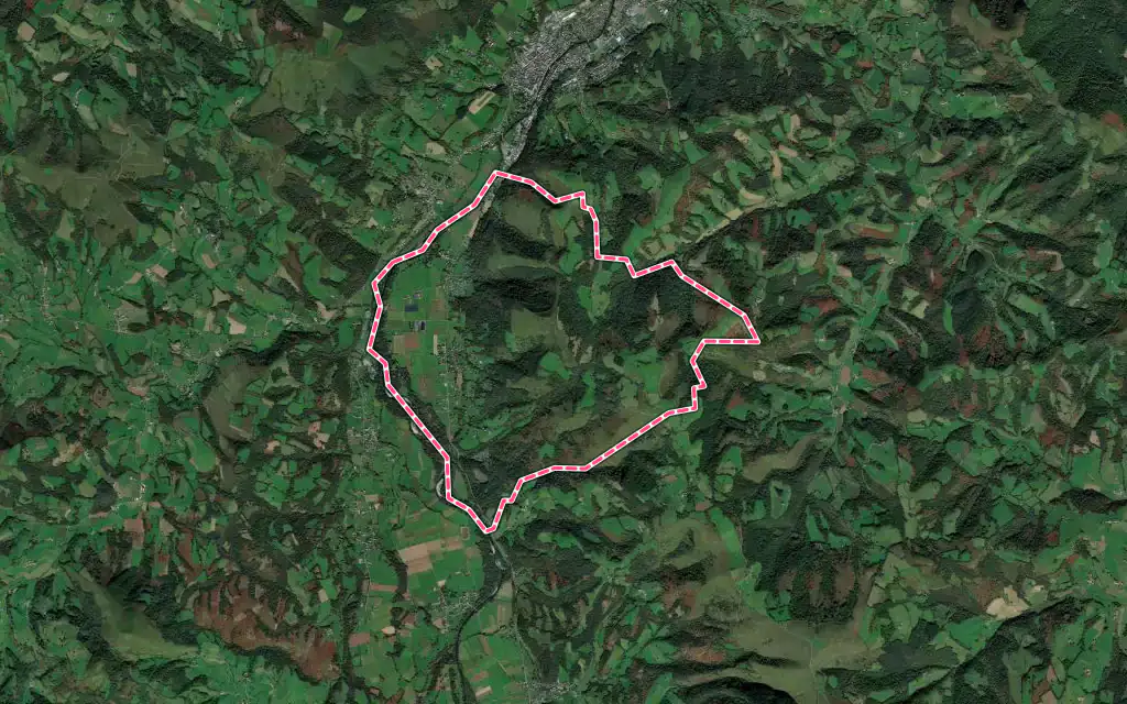 Vue satellite de Gotein-Libarrenx avec ses contours administratifs