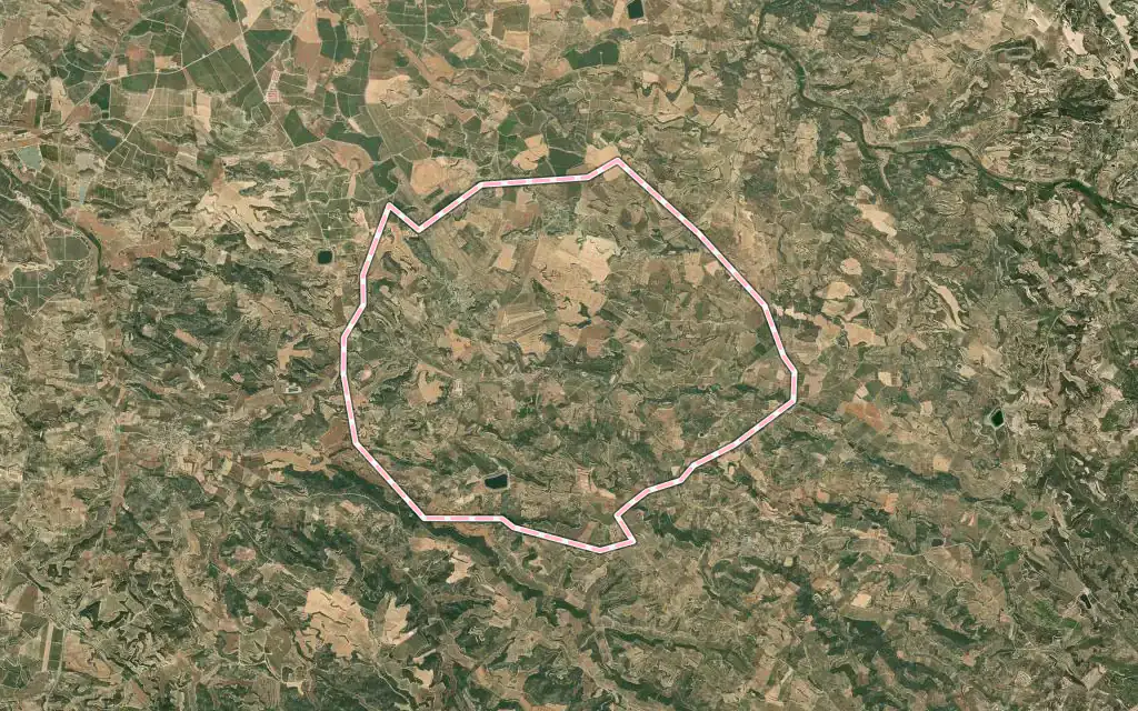 Vista satélite de Granyena de les Garrigues con su contorno administrativo