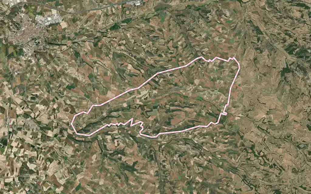 Vista satélite de Granyena de Segarra con su contorno administrativo