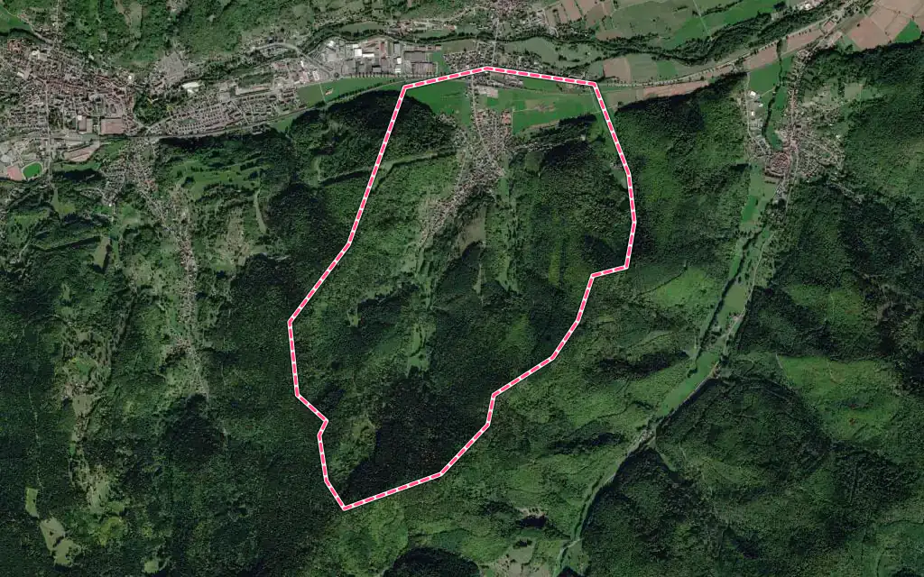 Vue satellite de Griesbach-au-Val avec ses contours administratifs