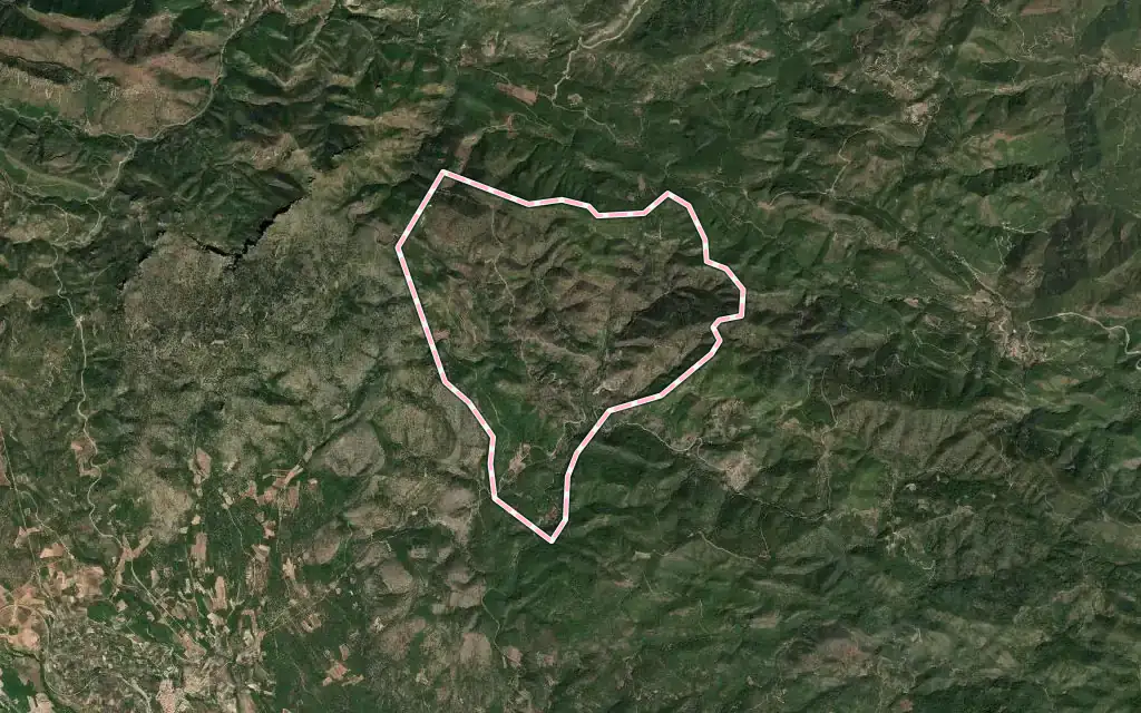 Vista satélite de Higueras con su contorno administrativo
