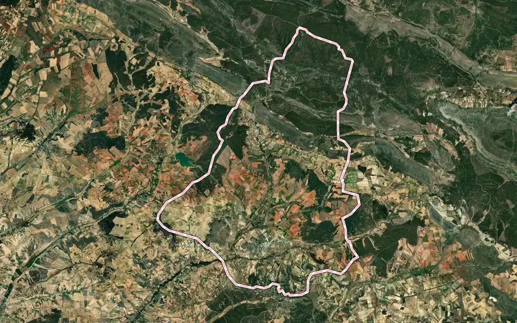 Vista satélite de Huerta de Rey con su contorno administrativo