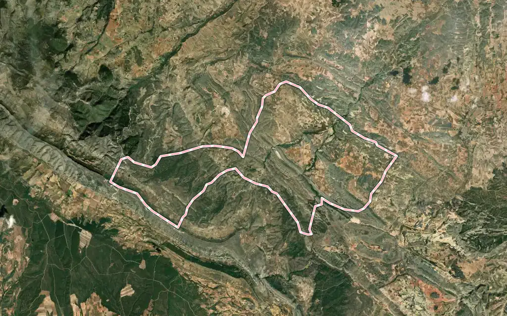Vista satélite de Huesa del Común con su contorno administrativo
