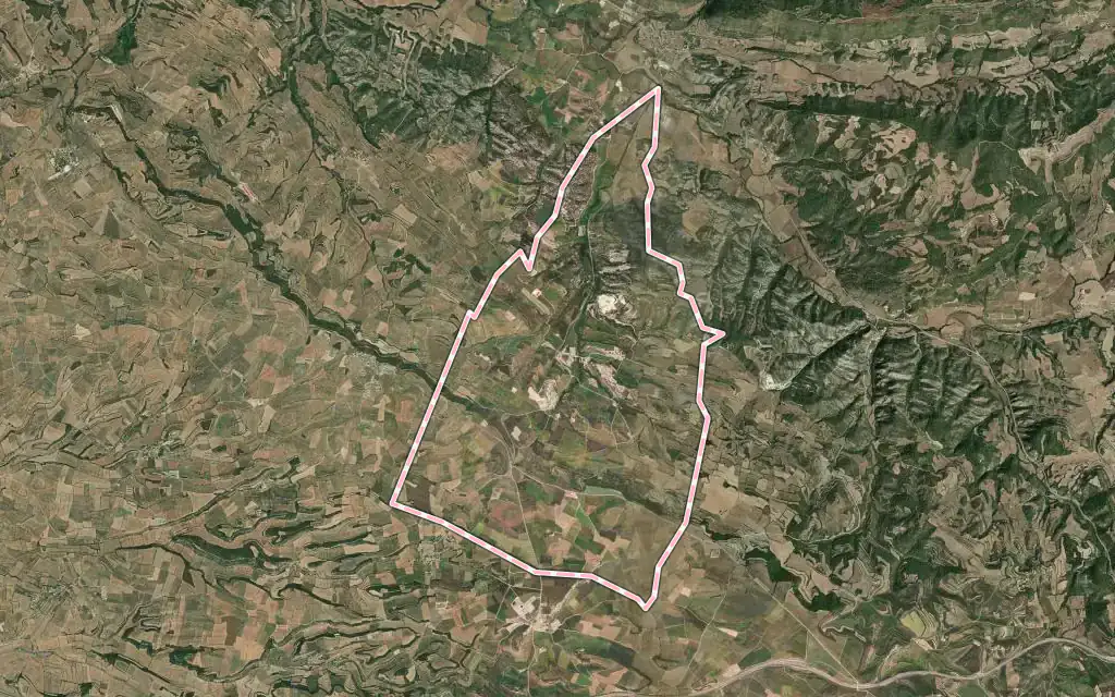 Vista satélite de Ivorra con su contorno administrativo