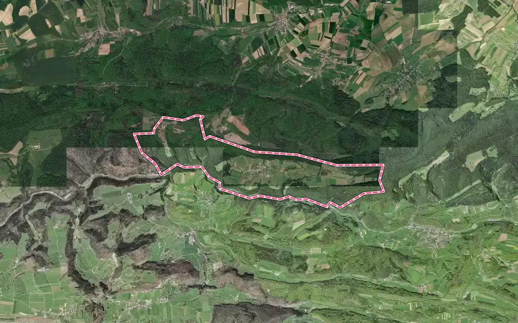 Vue satellite de Kiffis avec ses contours administratifs