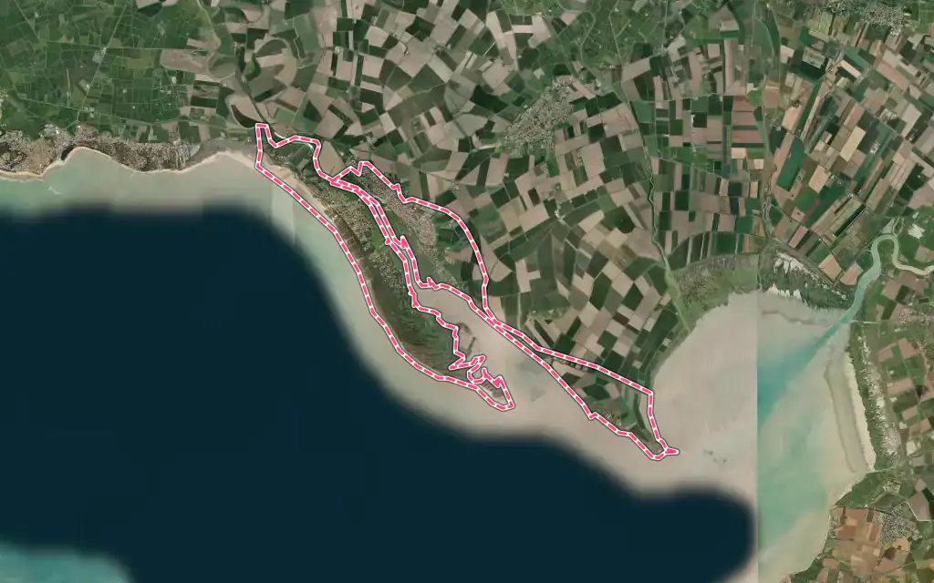 Vue satellite de L'Aiguillon-la-Presqu'île avec ses contours administratifs