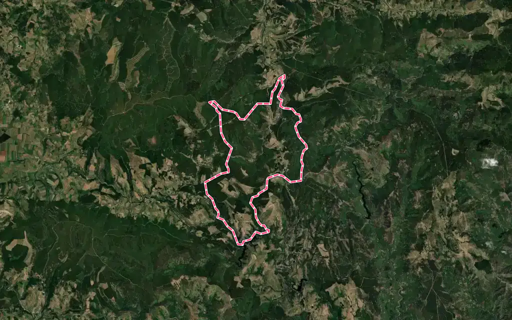Vue satellite de La Bastide-Puylaurent avec ses contours administratifs