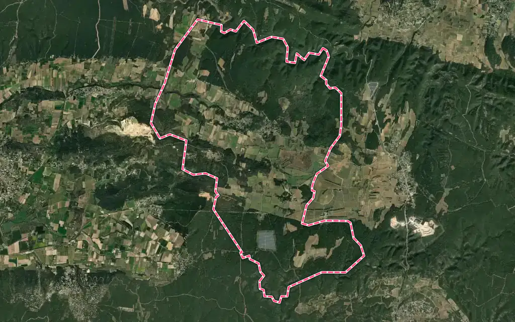 Vue satellite de La Capelle-et-Masmolène avec ses contours administratifs