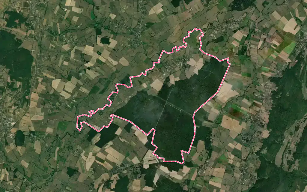Vue satellite de La Chapelle-de-Bragny avec ses contours administratifs