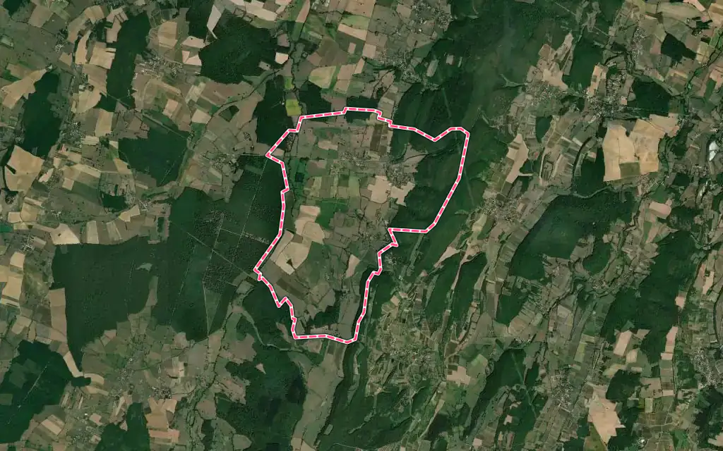 Vue satellite de La Chapelle-sous-Brancion avec ses contours administratifs