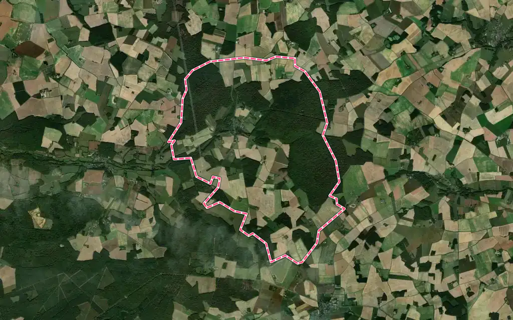 Vue satellite de La Ferrière avec ses contours administratifs