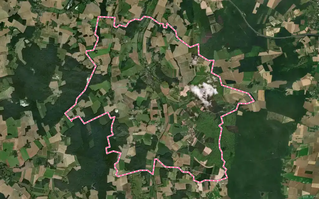 Vue satellite de La Ferté-Loupière avec ses contours administratifs