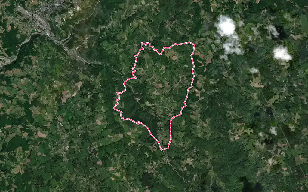 Vue satellite de Ladignac-sur-Rondelles avec ses contours administratifs