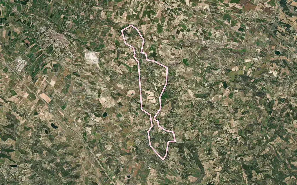 Vista satélite de la Floresta con su contorno administrativo