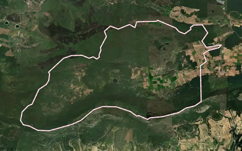 Vista satélite de Lagrán con su contorno administrativo