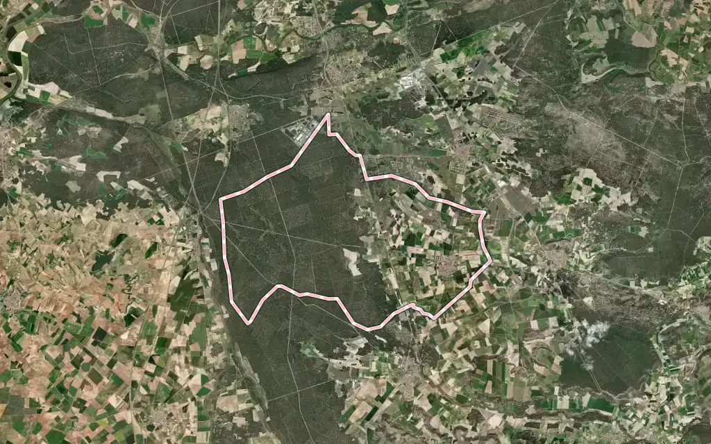 Vista satélite de La Pedraja de Portillo con su contorno administrativo