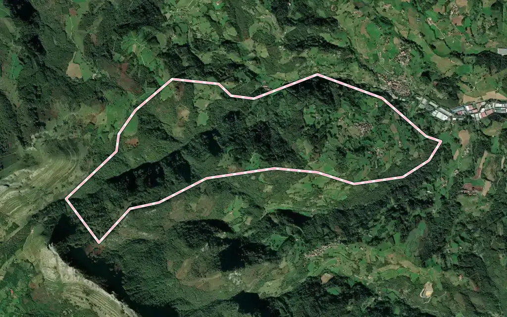 Vista satélite de Larraul con su contorno administrativo