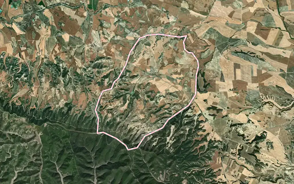 Vista satélite de Las Pedrosas con su contorno administrativo