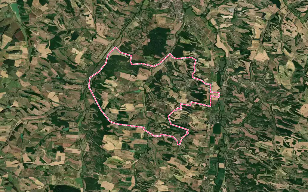 Vue satellite de Lasseube-Propre avec ses contours administratifs