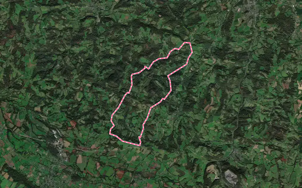 Vue satellite de Lasseubetat avec ses contours administratifs