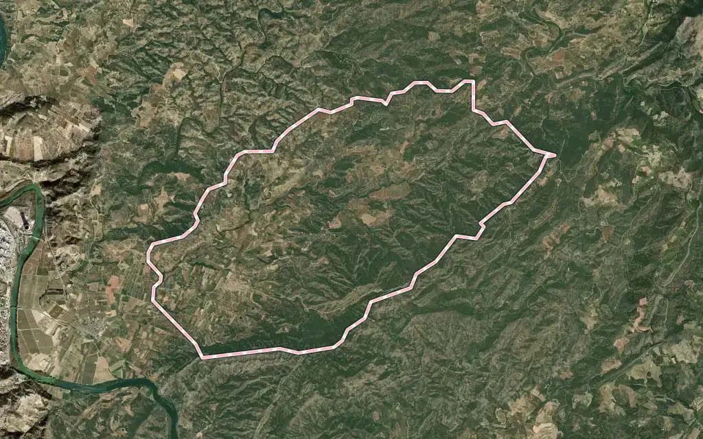 Vista satélite de la Torre de l'Espanyol con su contorno administrativo