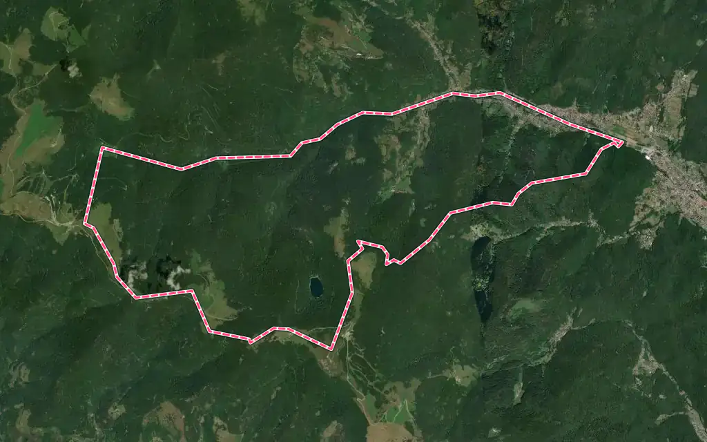Vue satellite de Lautenbachzell avec ses contours administratifs