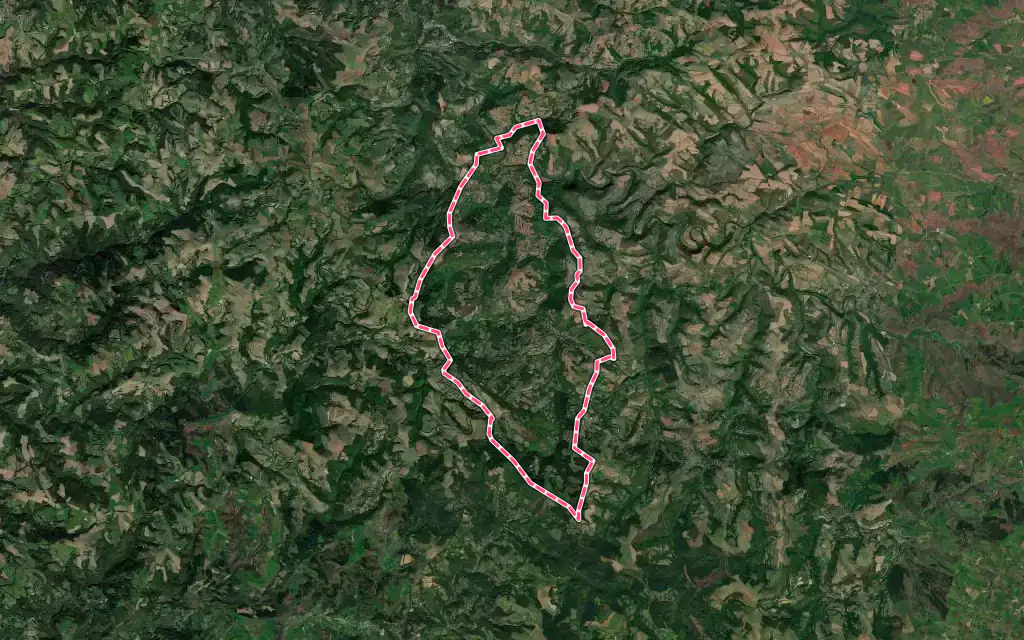 Vue satellite de Laval-Roquecezière avec ses contours administratifs