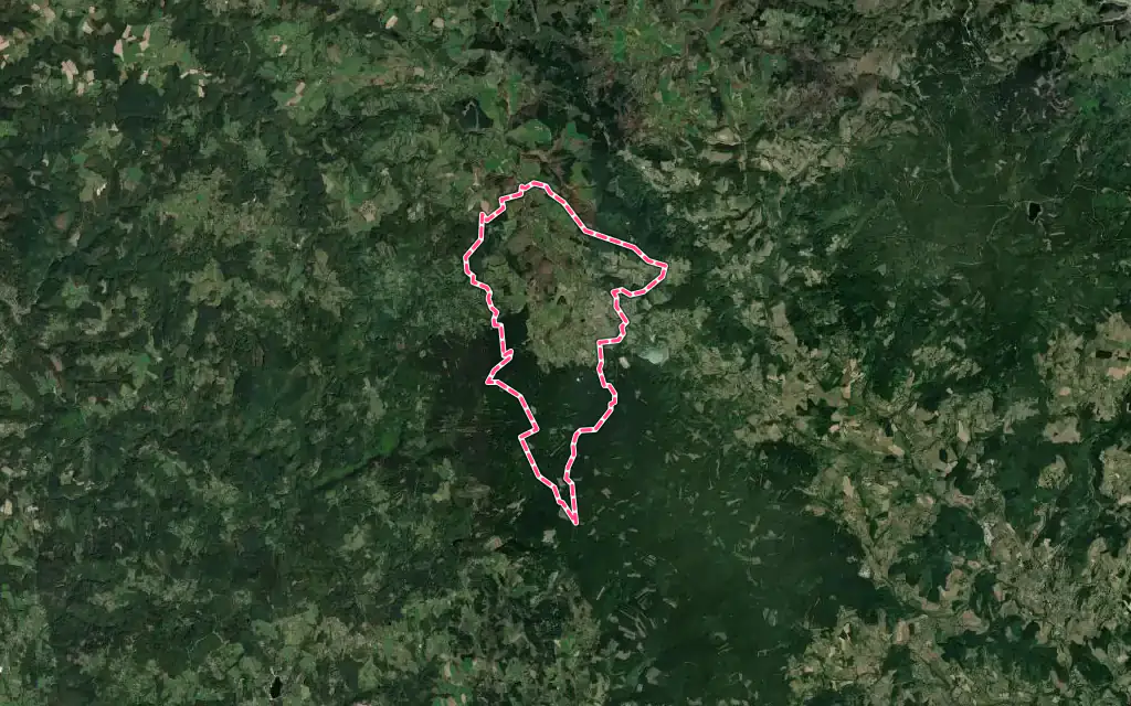 Vue satellite de Lavoine avec ses contours administratifs