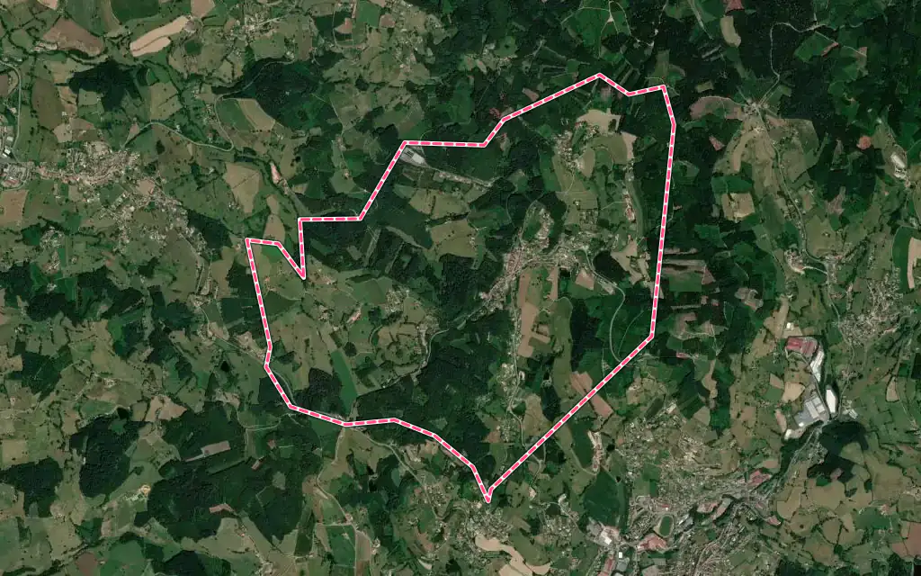 Vue satellite de Le Cergne avec ses contours administratifs