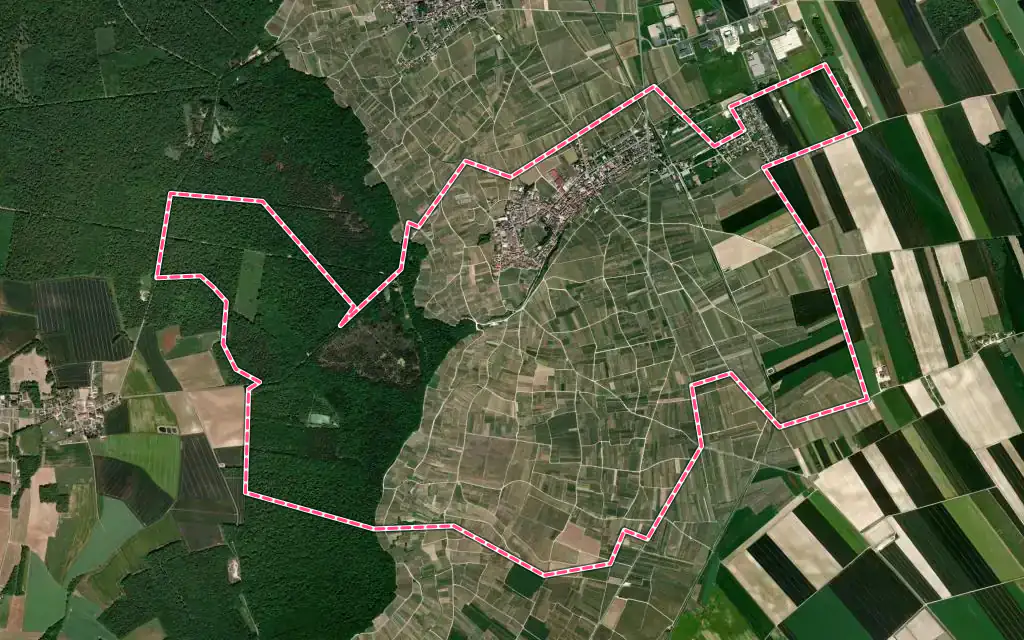 Vue satellite de Le Mesnil-sur-Oger avec ses contours administratifs