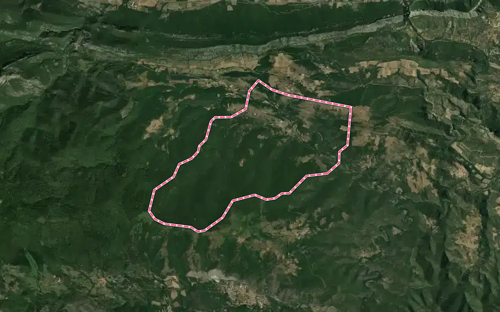 Vue satellite de Le Vivier avec ses contours administratifs