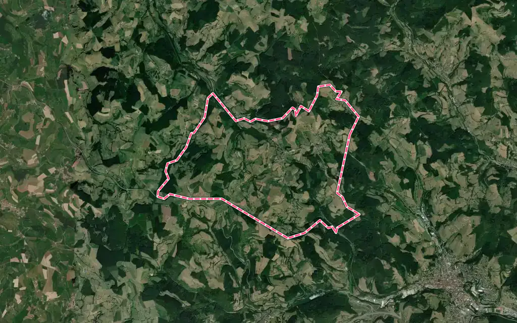 Vue satellite de Les Sauvages avec ses contours administratifs