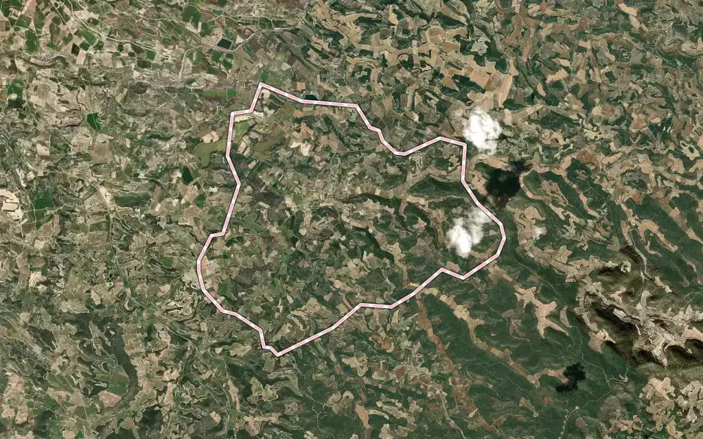 Vista satélite de l'Espluga Calba con su contorno administrativo