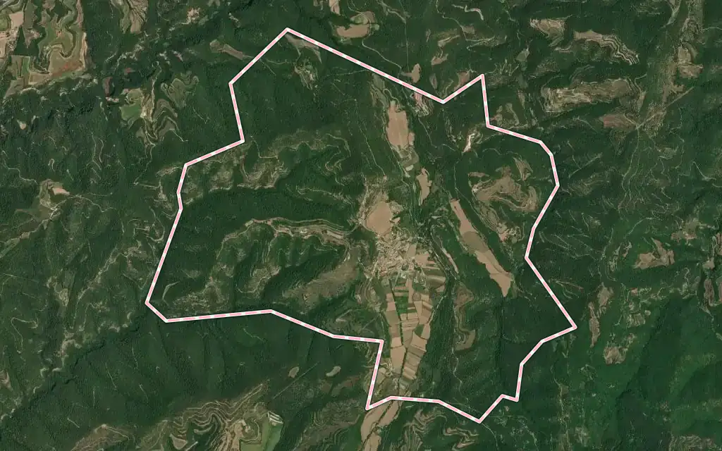 Vista satélite de l'Estany con su contorno administrativo