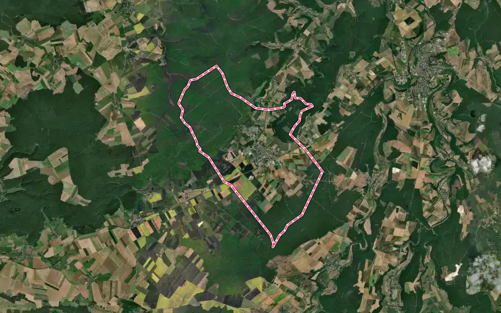 Vue satellite de Liffol-le-Grand avec ses contours administratifs