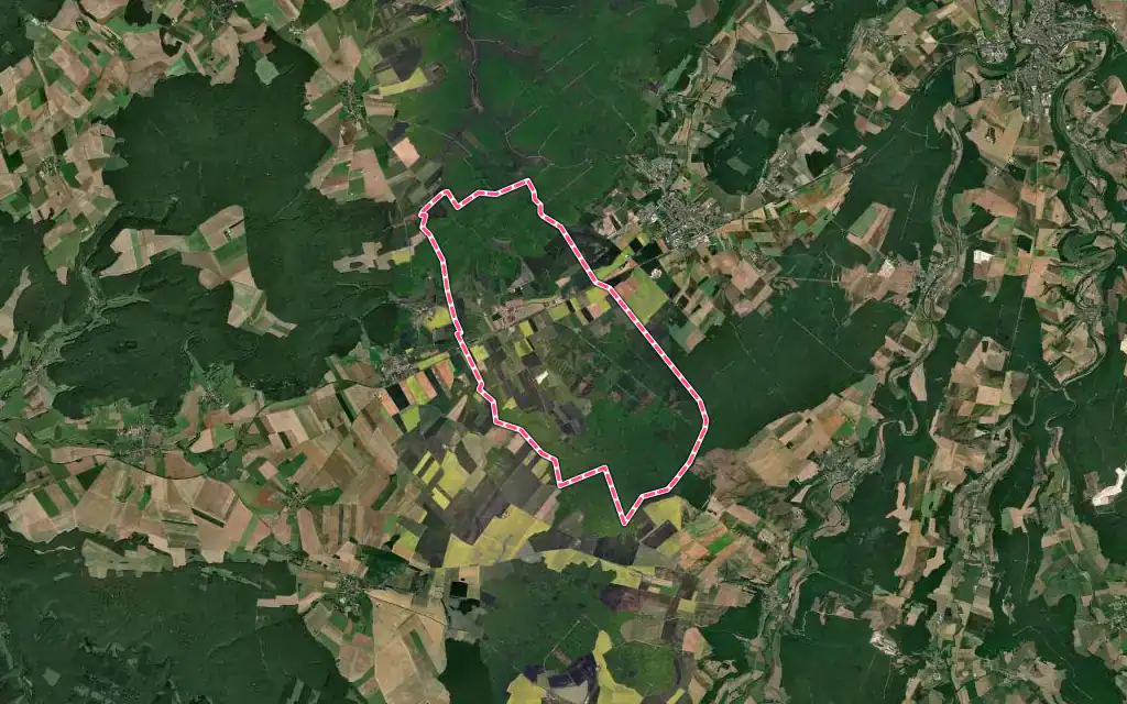 Vue satellite de Liffol-le-Petit avec ses contours administratifs